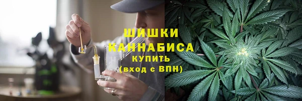 гашик Аркадак