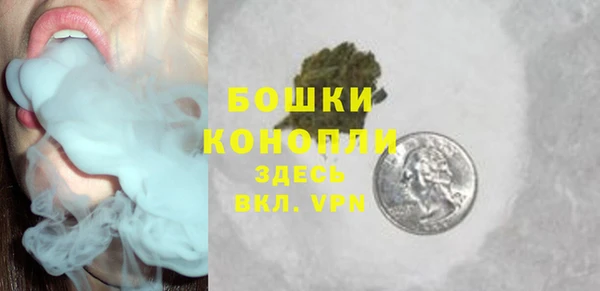 гашик Аркадак