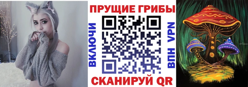 наркошоп Учалы Галлюциногенные грибы Psilocybe